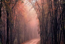 开云官网-沃克的铁血防守：稳扎稳打的护球艺术