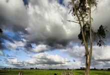 开云官网-沃克的铁血防守：稳扎稳打的护球艺术