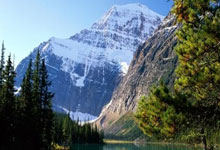 开云官网-西雅图海湾者替补席深度成优势，冲击世俱杯冠军