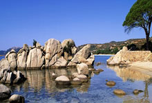 开云下载-南特连追三球，主场大胜圣埃蒂安取得胜利