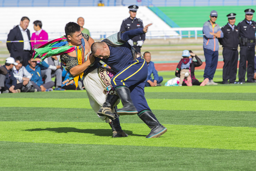蒙古队在摔跤比赛中表现出色
