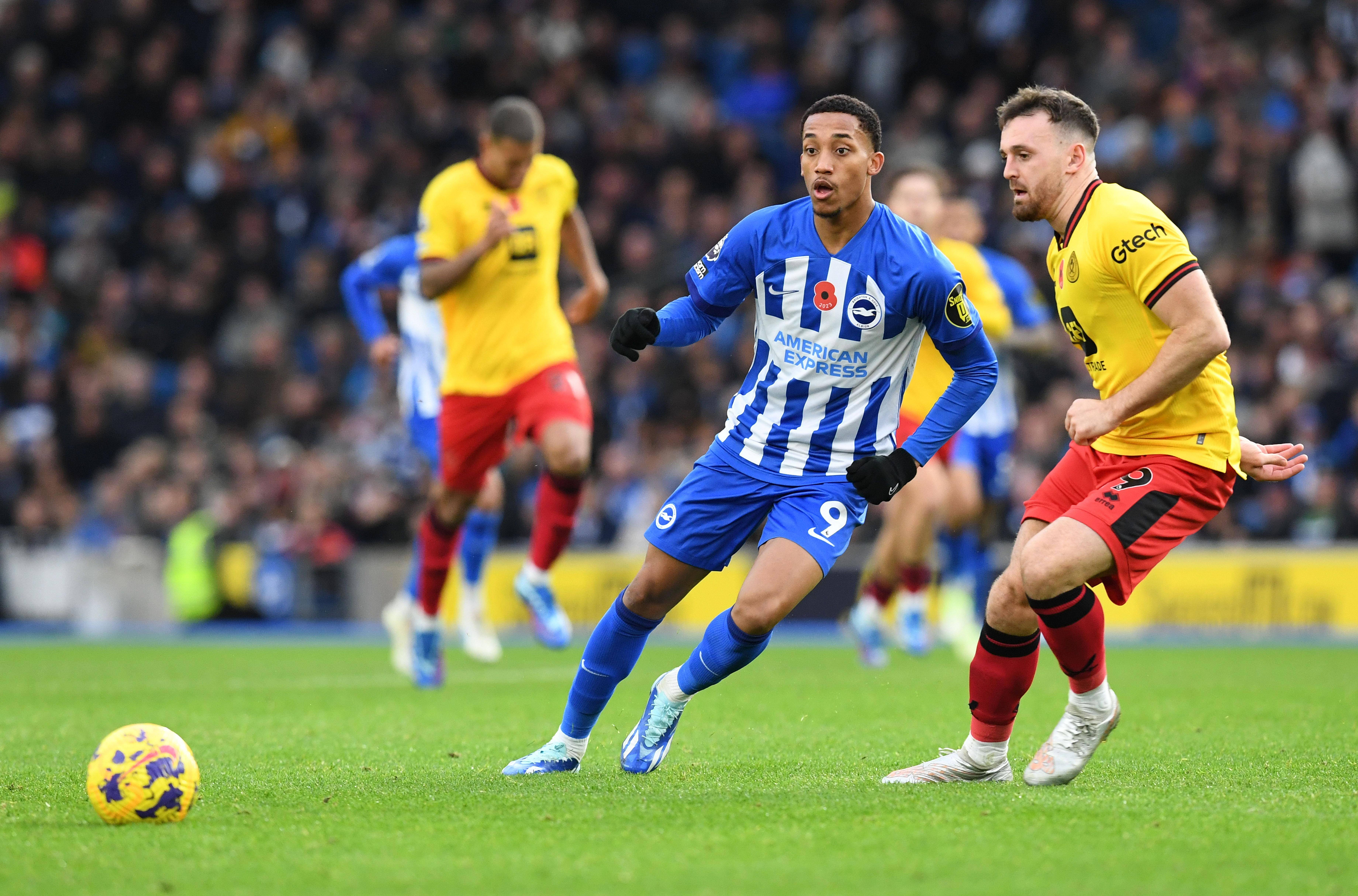 开云下载-关于布赖顿主场力克狼队，豪取三分重要胜利的信息