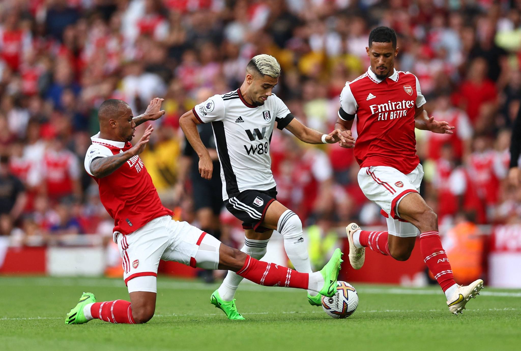 开云体育官网-纽卡斯尔全队协作，迎来胜利的简单介绍