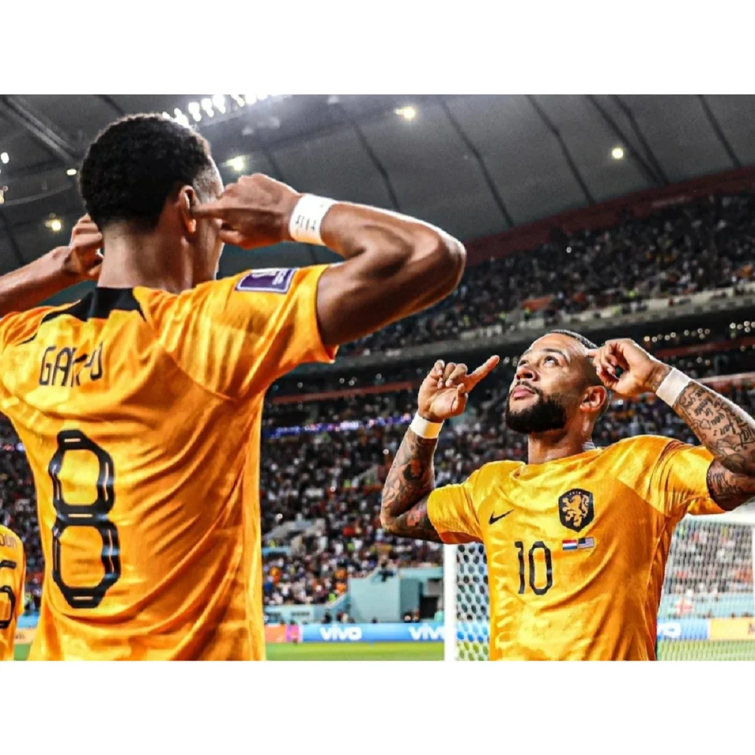 阿尔德维尔德携神勇，荷兰队勇往直前