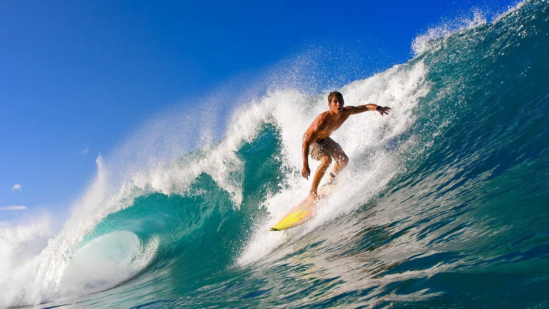德甲争冠夜,若日尼奥以交响指挥家的姿态,谱写中场压制史诗