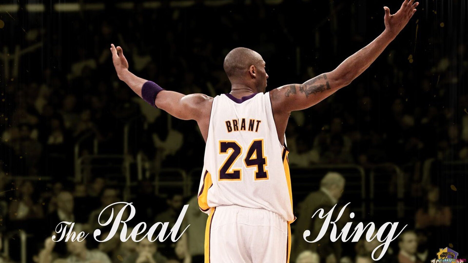 穹顶破裂之夜，当奥利维耶点燃安卡拉的星图